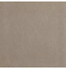 Sheer Taupe Matt R10 80x80