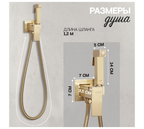 Гигиенический душ со смесителем встраиваемый Hansberge H3077MG, матовое золото