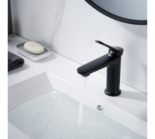 Смеситель для раковины Shevanik S4301H, черный
