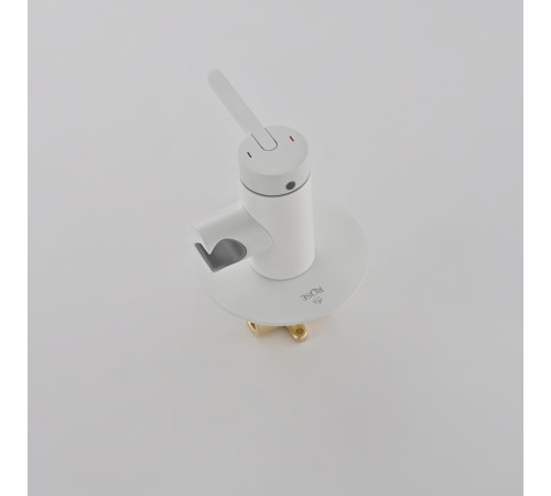 Гигиенический душ со смесителем Rose R235C, белый