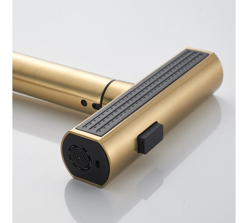 Смеситель для кухни с мультифункциональным изливом Shevanik S263G, золотой сатин