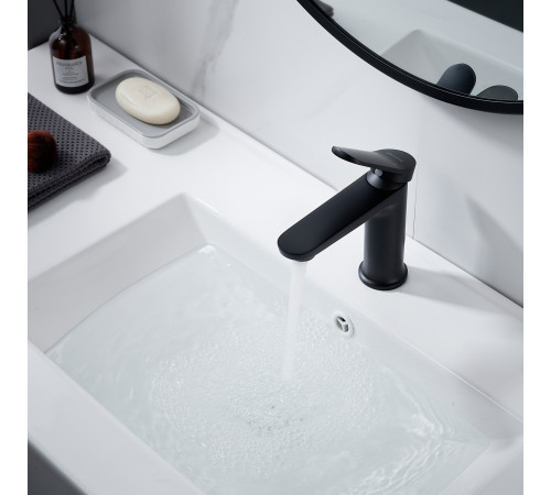 Смеситель для раковины Shevanik S4301H, черный