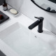 Смеситель для раковины Shevanik S4301H, черный