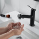 Смеситель для раковины многофункциональный Raffine F281H, черный