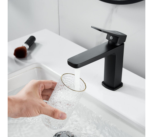 Смеситель для раковины Raffine F0199H, черный