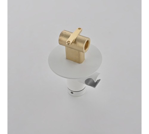Гигиенический душ со смесителем Rose R235C, белый