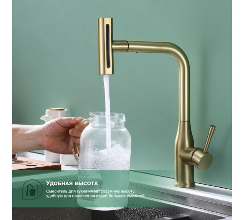 Смеситель для кухни с мультифункциональным изливом Splenka S206.49.03, золотой сатин