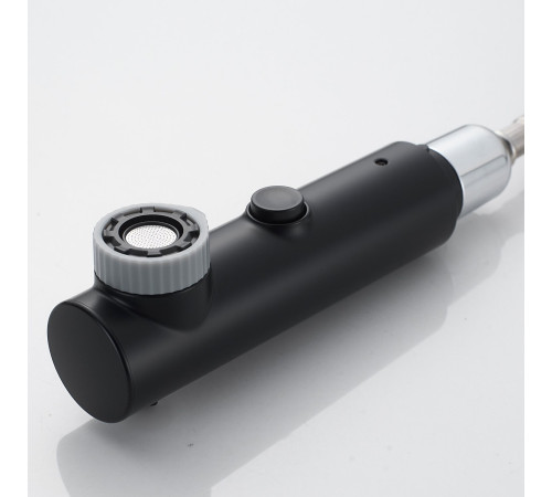 Смеситель для раковины многофункциональный Raffine F281H, черный