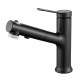Смеситель для раковины многофункциональный Raffine F281H, черный
