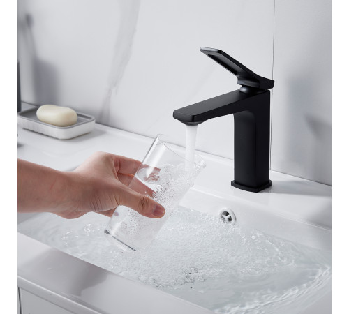 Смеситель для раковины Shevanik S4601H, черный