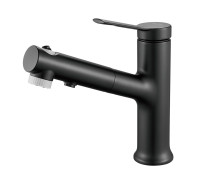 Смеситель для раковины многофункциональный Raffine F281H, черный