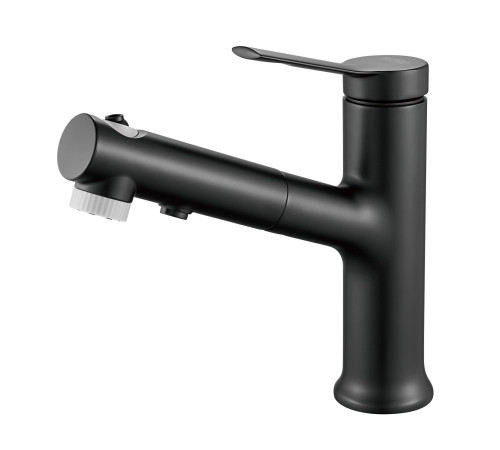 Смеситель для раковины многофункциональный Raffine F281H, черный
