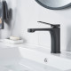 Смеситель для раковины Shevanik S6201H, черный