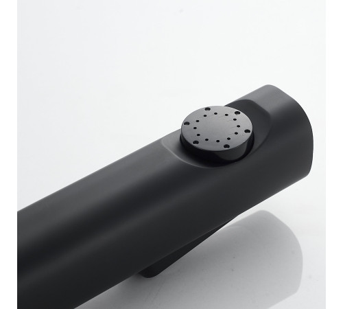 Гигиенический душ со смесителем Shevanik S9605H-1, черный