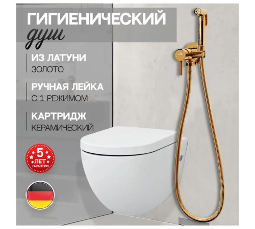 Гигиенический душ со смесителем встраиваемый Hansberge H3099GO, золото