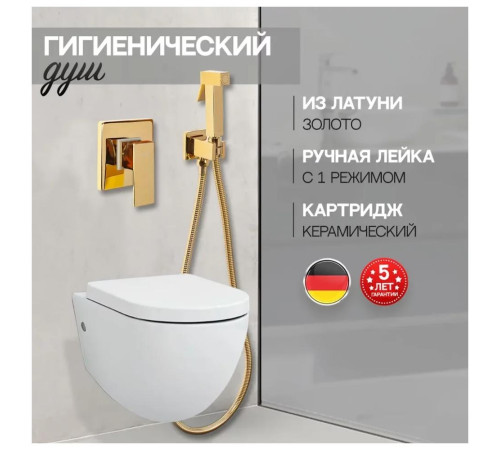 Гигиенический душ со смесителем встраиваемый Hansberge H3070GO, золото