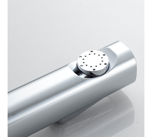 Гигиенический душ со смесителем Shevanik S9605-1, хром