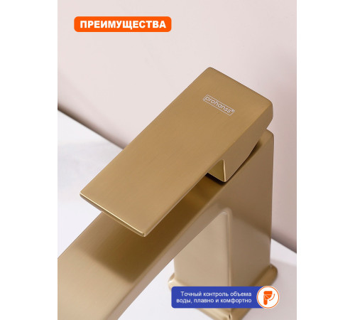 Смеситель для раковины с гигиеническим душем Prohanss P60.12.03, золотой сатин