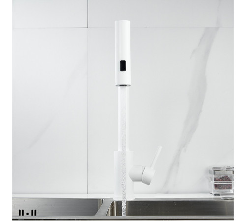 Смеситель для кухни с мультифункциональным изливом Raffine F203C, белый