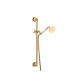 Душевой гарнитур Webert Shower Set AC0385010, золото