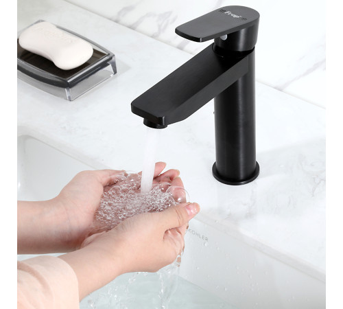 Смеситель для раковины Frap F10201-6, черный