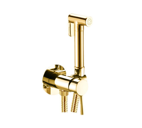 Гигиенический душ со смесителем Webert Sax Evolution SE870303010, золото
