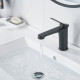 Смеситель для раковины Shevanik S6201H, черный