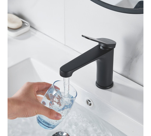 Смеситель для раковины Shevanik S6201H, черный