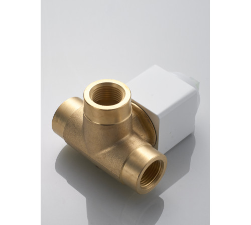 Гигиенический душ со смесителем Rose R2805C, белый