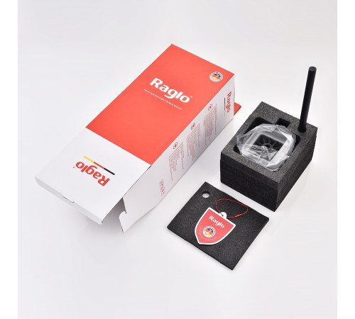 Ершик настенный Raglo R301.10.06, черный