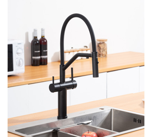 Смеситель для кухни с гибким изливом и подключением фильтра GAPPO G4399-86, черный