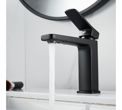Смеситель для раковины Raffine F0199H, черный