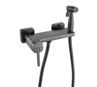 Гигиенический душ со смесителем Rose R315T, оружейная сталь