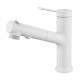 Смеситель для раковины многофункциональный Raffine F281C, белый
