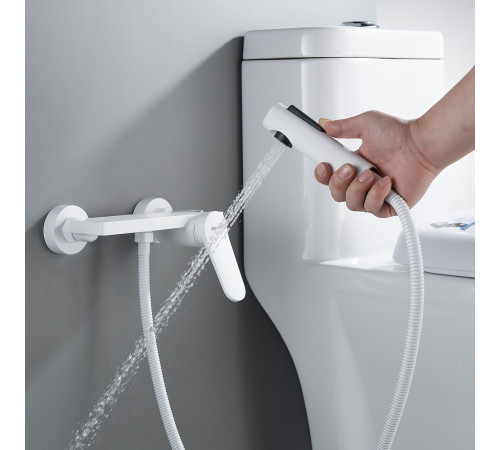 Гигиенический душ со смесителем Shevanik S4305C-1, белый