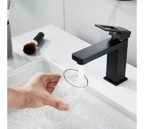 Смеситель для раковины Raffine F0196H, черный