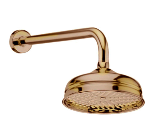 Верхний душ Webert Armony AC0015065, бронза