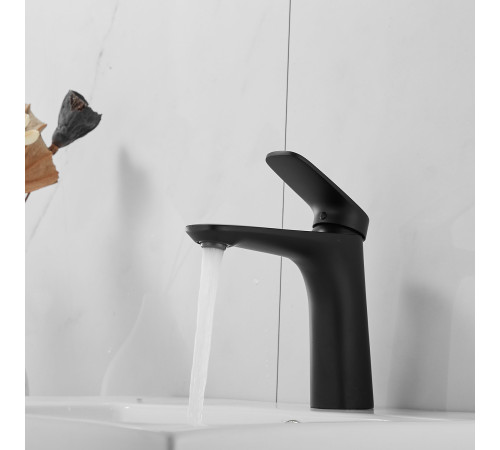 Смеситель для раковины Raffine F0185H, черный