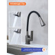 Смеситель для кухни с гибким изливом Prohanss P61.4406.09, графит