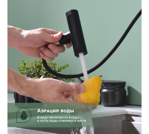 Смеситель для кухни с мультифункциональным изливом Splenka S206.49.06, черный