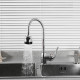 Смеситель для кухни с гибким изливом и режимом душ FRUD R42055-3, хром