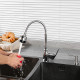 Смеситель для кухни с гибким изливом и режимом душ FRUD R42055-2, хром