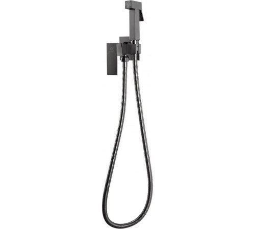 Гигиенический душ со смесителем встраиваемый FILARETE Fing FL101BG, графит