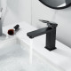 Смеситель для раковины Raffine F0196H, черный