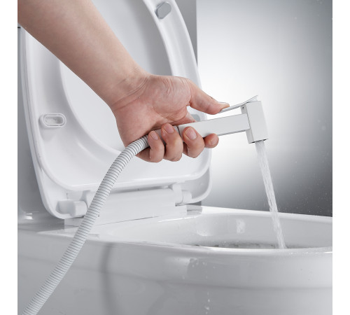 Гигиенический душ со смесителем Shevanik S127C, белый