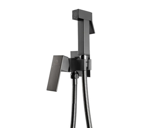 Гигиенический душ со смесителем встраиваемый FILARETE Fing FL101BG, графит