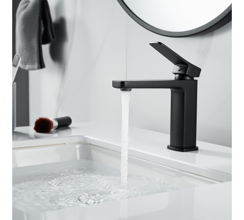 Смеситель для раковины Raffine F0199H, черный