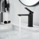 Смеситель для раковины Raffine F0199H, черный
