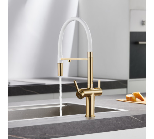 Смеситель для кухни с подключением фильтра для воды Rose R458G, золотой сатин