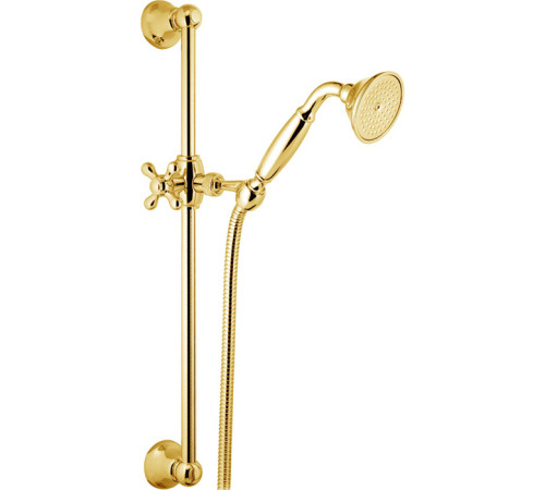 Душевой гарнитур Webert Shower Set AC0384010, золото